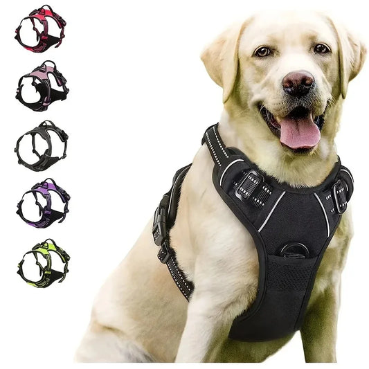 Dog Collar, Harness & Leash Set – Leather Puppy Accessories for Small to Medium Dogs