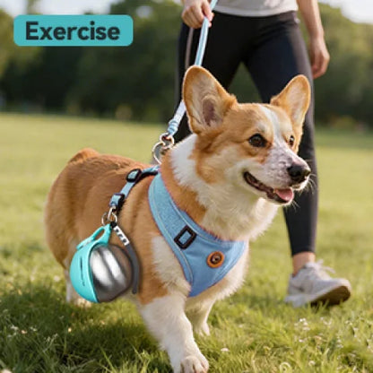 1Pc Portable Stainless Steel Cat and Dog Kettle, Leak-Proof Stainless Steel Pet Travel Kettle With Bowl, Suitable for Outdoor Walking and Travel Pet Drinking Feeder, Food Grade Material, Portable Dog Kettle