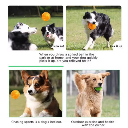 TPR Squeaky Spiked Dog Ball Chew Toy Durable Teeth Cleaning Molar Toy Floating Bouncy Interactive Pet Toy For Oral Care