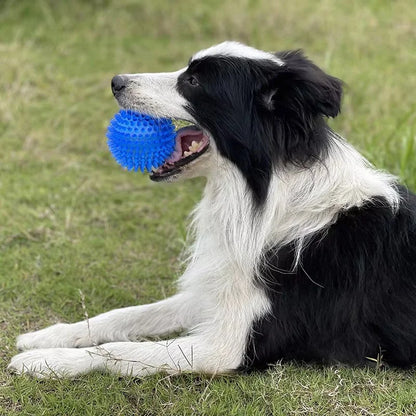 TPR Squeaky Spiked Dog Ball Chew Toy Durable Teeth Cleaning Molar Toy Floating Bouncy Interactive Pet Toy For Oral Care
